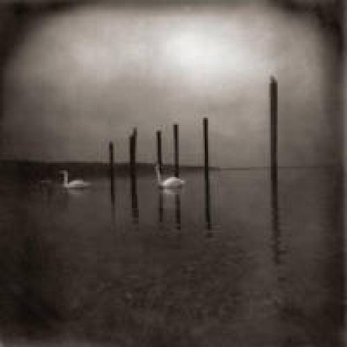 Om-conference-of-the-birds-new-vinyl