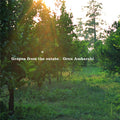 Oren-ambarchi-grapes-from-the-estate-new-vinyl
