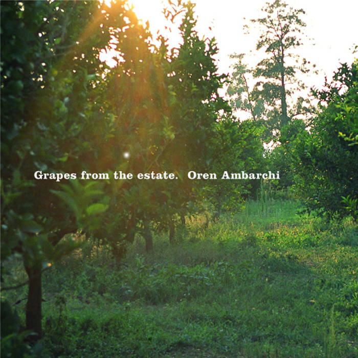 Oren-ambarchi-grapes-from-the-estate-new-vinyl