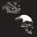 Osees (Thee Oh Sees) - A Foul Form (New Vinyl)