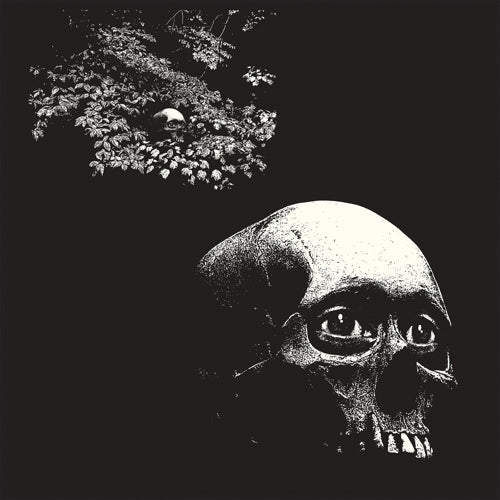 Osees (Thee Oh Sees) - A Foul Form (New Vinyl)