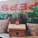 PAINE's Incense Cabin with 10 RED CEDAR INCENSE CONES