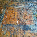 Painted Shield (Mason Jennings/Stone Gossard) - Painted Shield (New Vinyl) (BF2020)