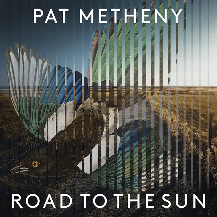 Pat Metheny - Road to the Sun (New Vinyl)