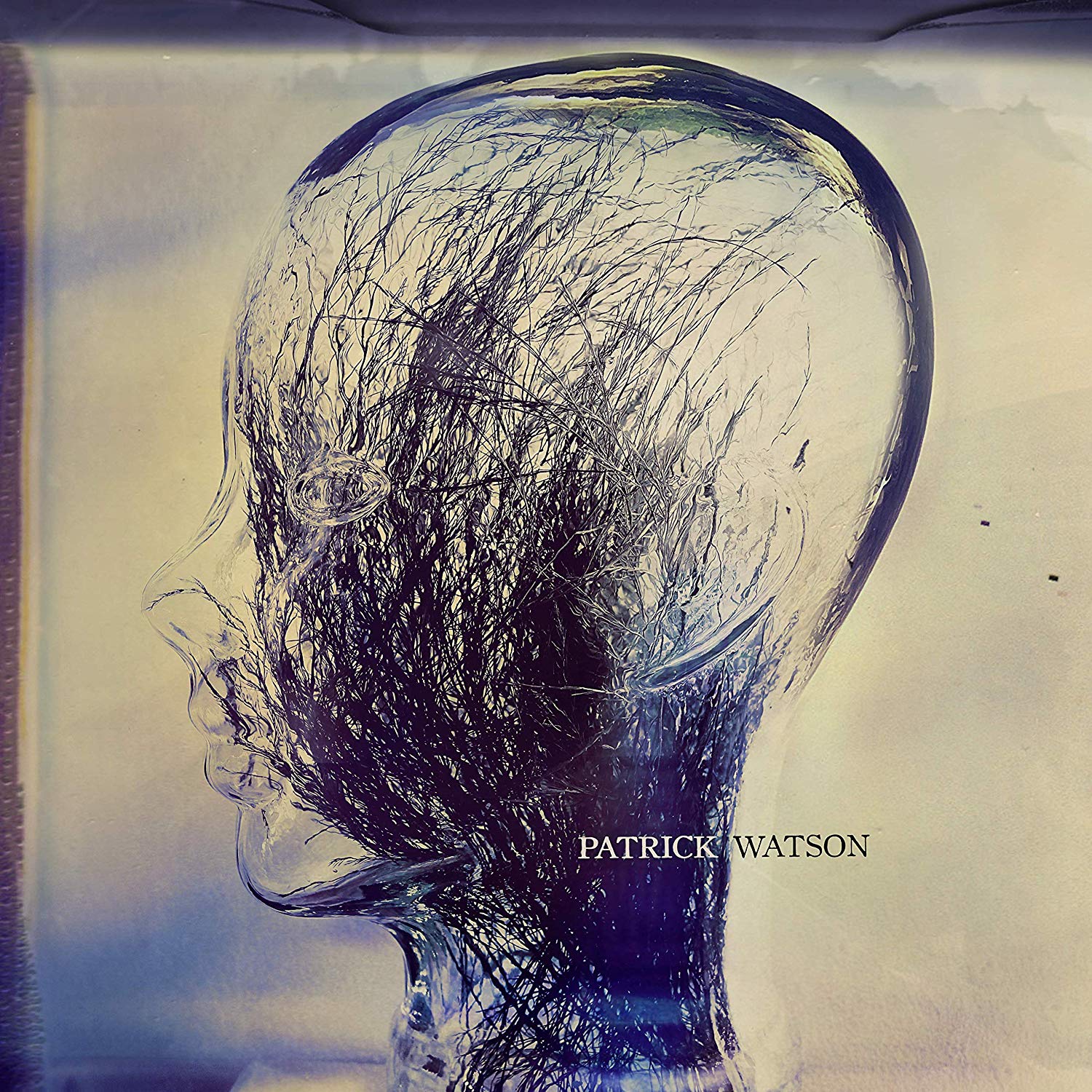 Patrick-watson-wave-new-vinyl