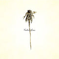 Patrick-watson-wooden-arms-dlx-new-vinyl