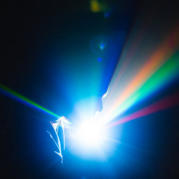 Paul Chin - Full Spectrum (Deluxe Edition) (New Vinyl)