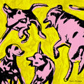 Paul Jacobs - Pink Dogs on the Green Grass (New Vinyl)