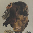 Peacers - Blexxed Rec (New Vinyl)