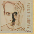 Peter Murphy - Love Hysteria (Indigo Vinyl) (New Vinyl)