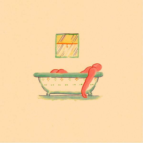 Pile - A Hairshirt of Purpose (New Vinyl)