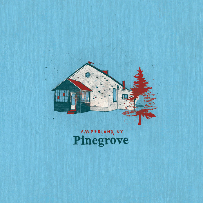 Pinegrove - Amperland, NY (New CD)
