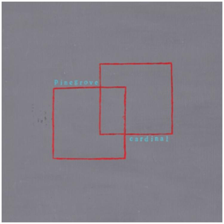 Pinegrove-cardinal-new-vinyl
