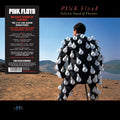 Pink-floyd-delicate-sound-of-thunder-live-new-vinyl