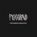 Pissgrave-posthumous-humiliation-new-vinyl