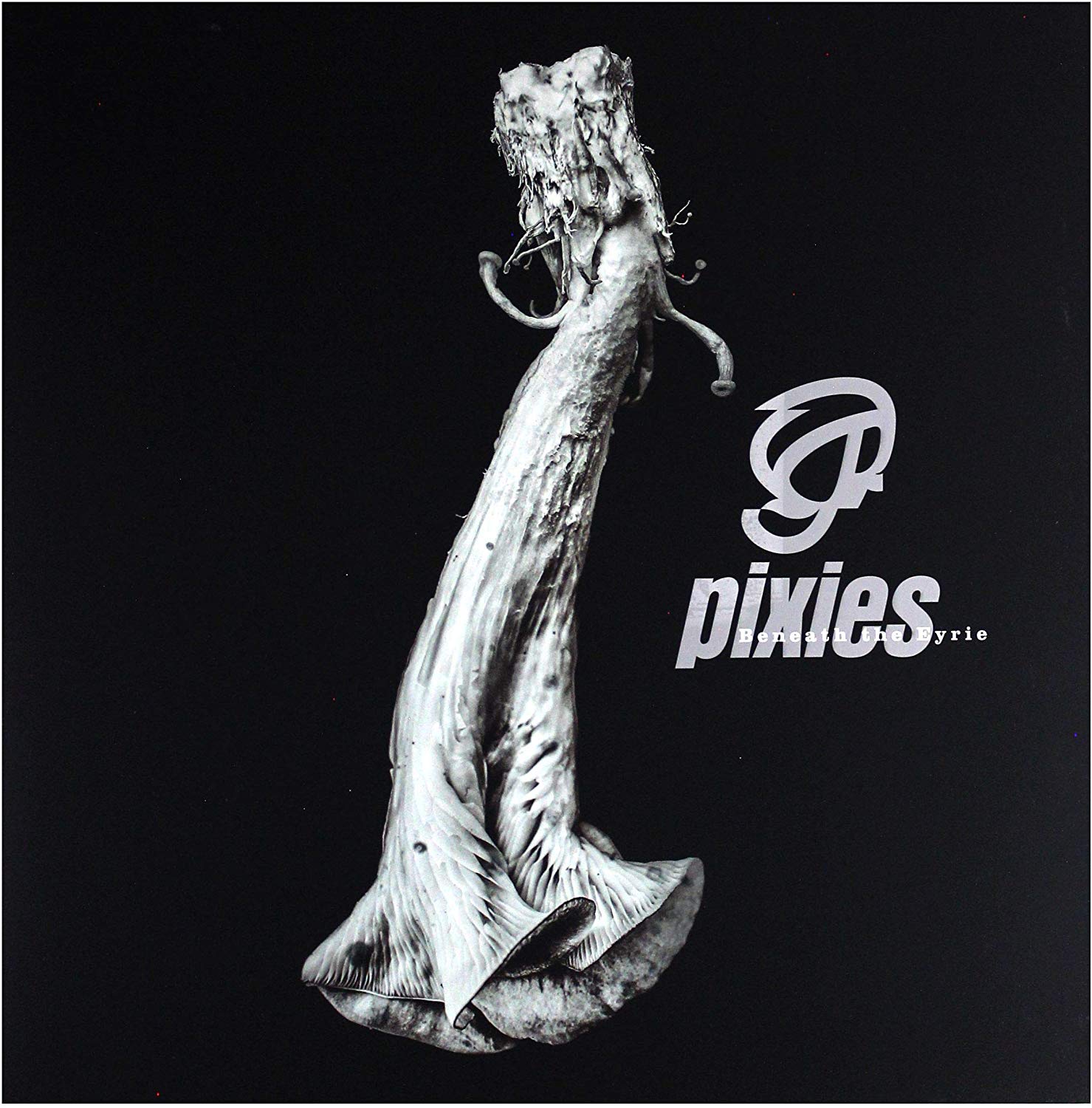 Pixies-beneath-the-eyrie-new-vinyl