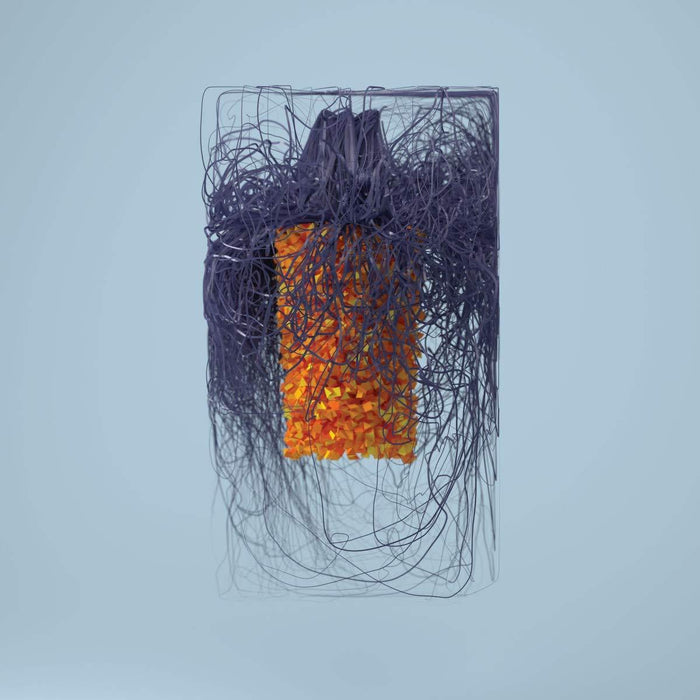 Plaid-polymer-new-vinyl