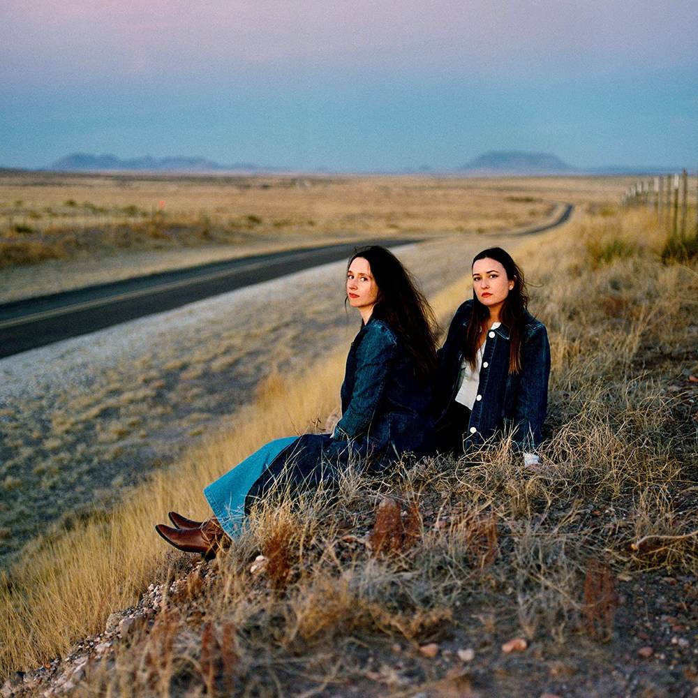 Plains - I Walked With You A Ways (Vinyl Me Please Exclusive Clear) (New Vinyl)