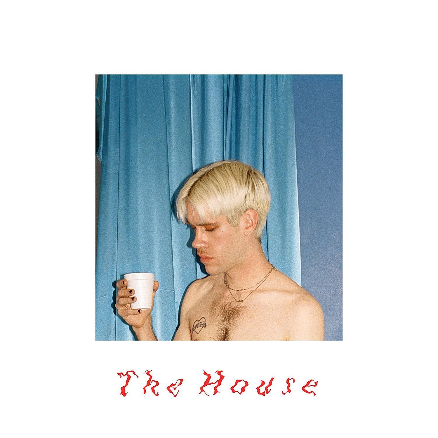 Porches-house-new-vinyl