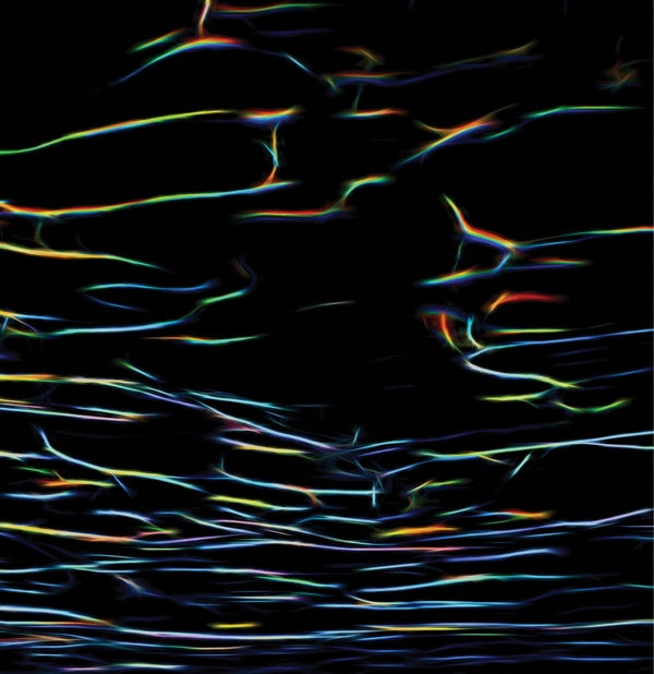Porter Ricks - Biokinetics (New Vinyl)