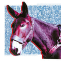 Protomartyr-ultimate-success-today-new-cd