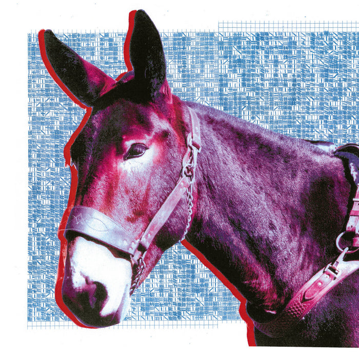 Protomartyr-ultimate-success-today-new-cd