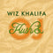 Wiz Khalifa - Kush & OJ (New Vinyl)