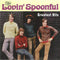 Lovin Spoonful - Greatest Hits (NEW CD)