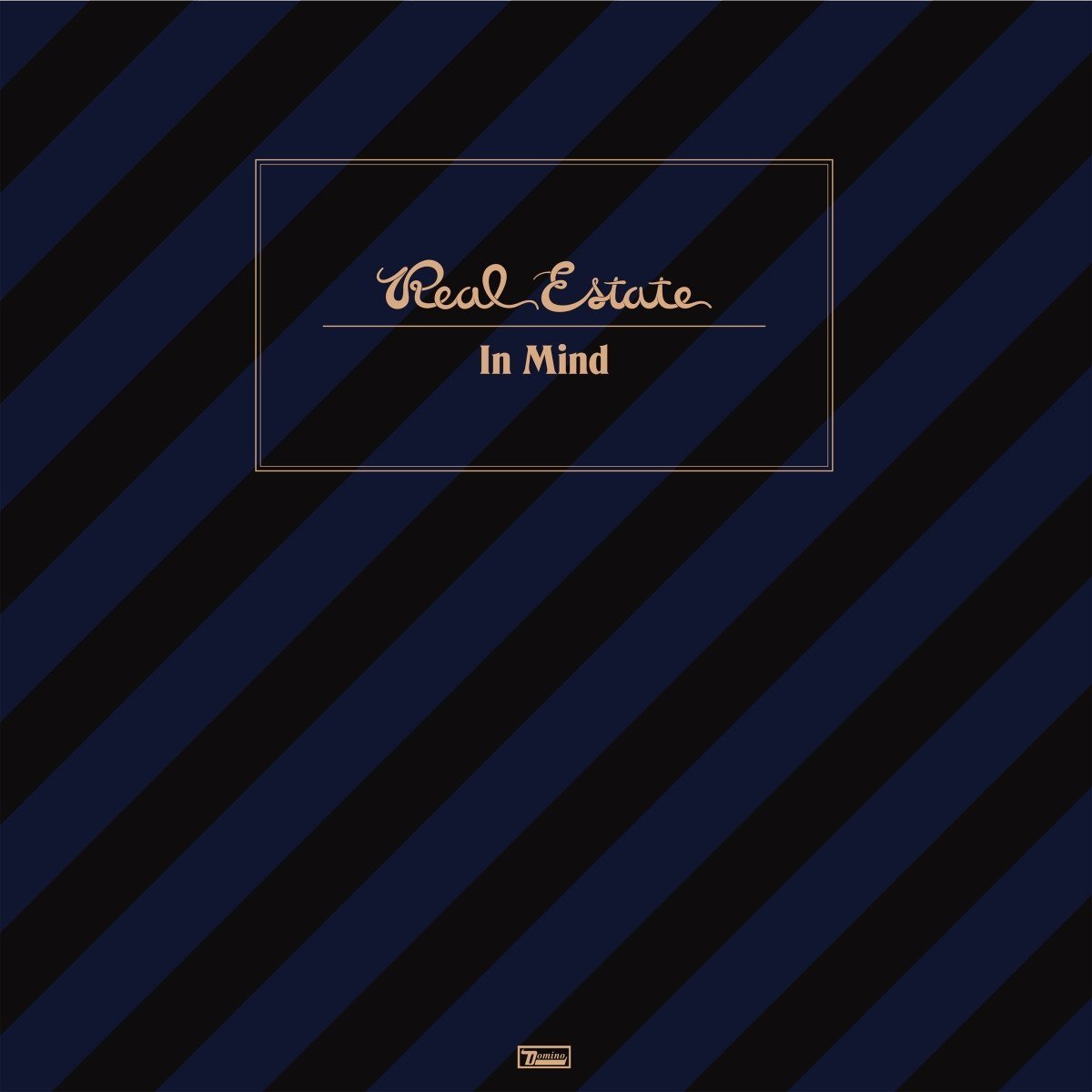 Real-estate-in-mind-new-vinyl