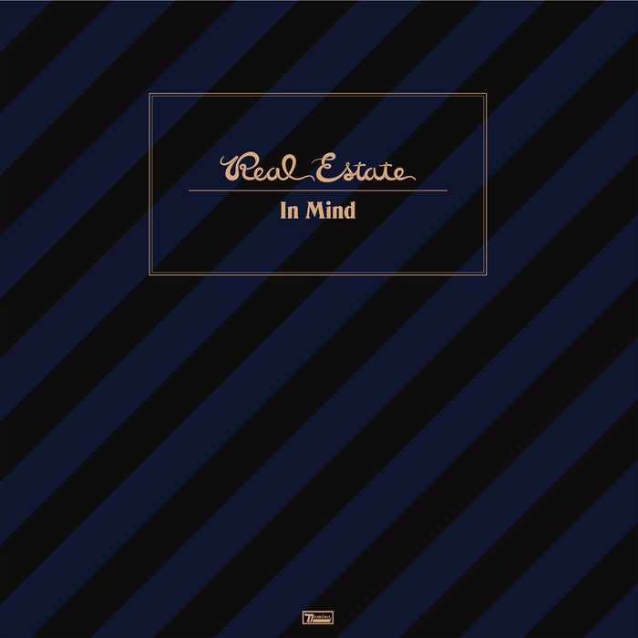 Real-estate-in-mind-new-vinyl