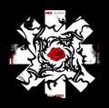 Red Hot Chili Peppers RHCP - Blood, Sugar, Sex and Magik - T-Shirt