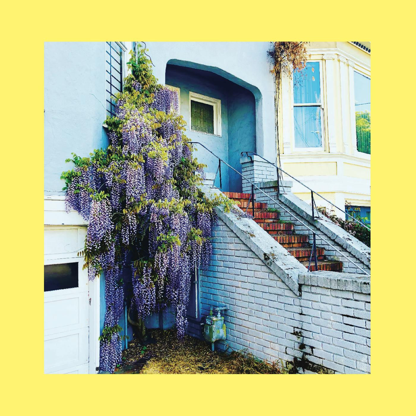 Reds, Pinks & Purples - They Only Wanted Your Soul (Indie Exclusive Royal Blue) (New Vinyl)