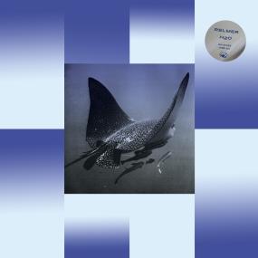 Relmer - H20 (New Vinyl)