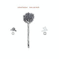 Richard-buckner-dents-and-shells-new-vinyl