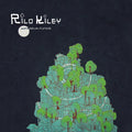 Rilo-kiley-more-adventurous-new-vinyl
