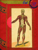 Robert Pollard - Eat 17