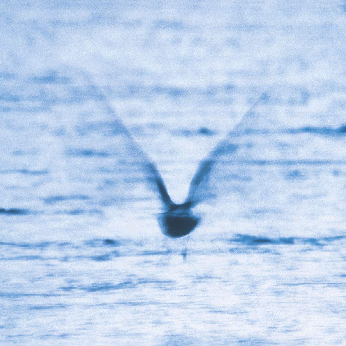 Ryo-fukui-mellow-dream-new-vinyl