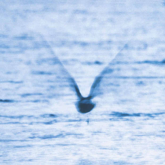 Ryo-fukui-mellow-dream-new-vinyl