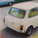 Said The Whale - Dandelion (New CD)