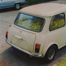 Said The Whale - Dandelion (New Vinyl)