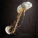 Sam Gendel - COOKUP (New CD)