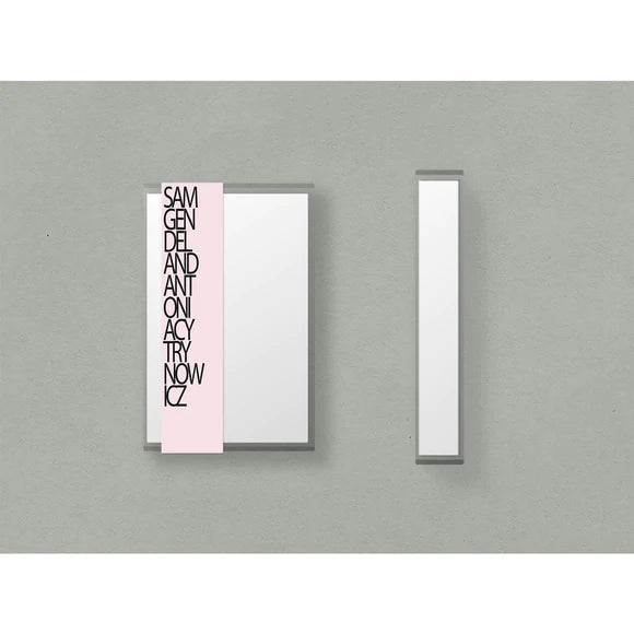 Sam Gendel - Live A Little (New Cassette)