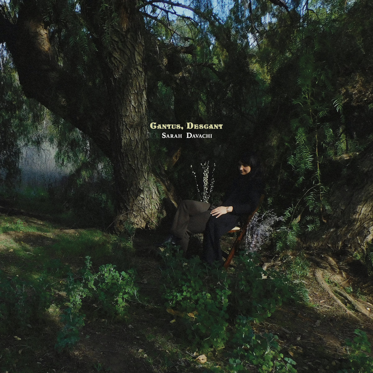 Sarah-davachi-cantus-descant-new-vinyl