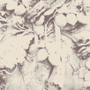 Sarah Davachi - Figures In Open Air (New CD)