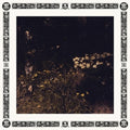 Sarah-davachi-pale-bloom-new-vinyl