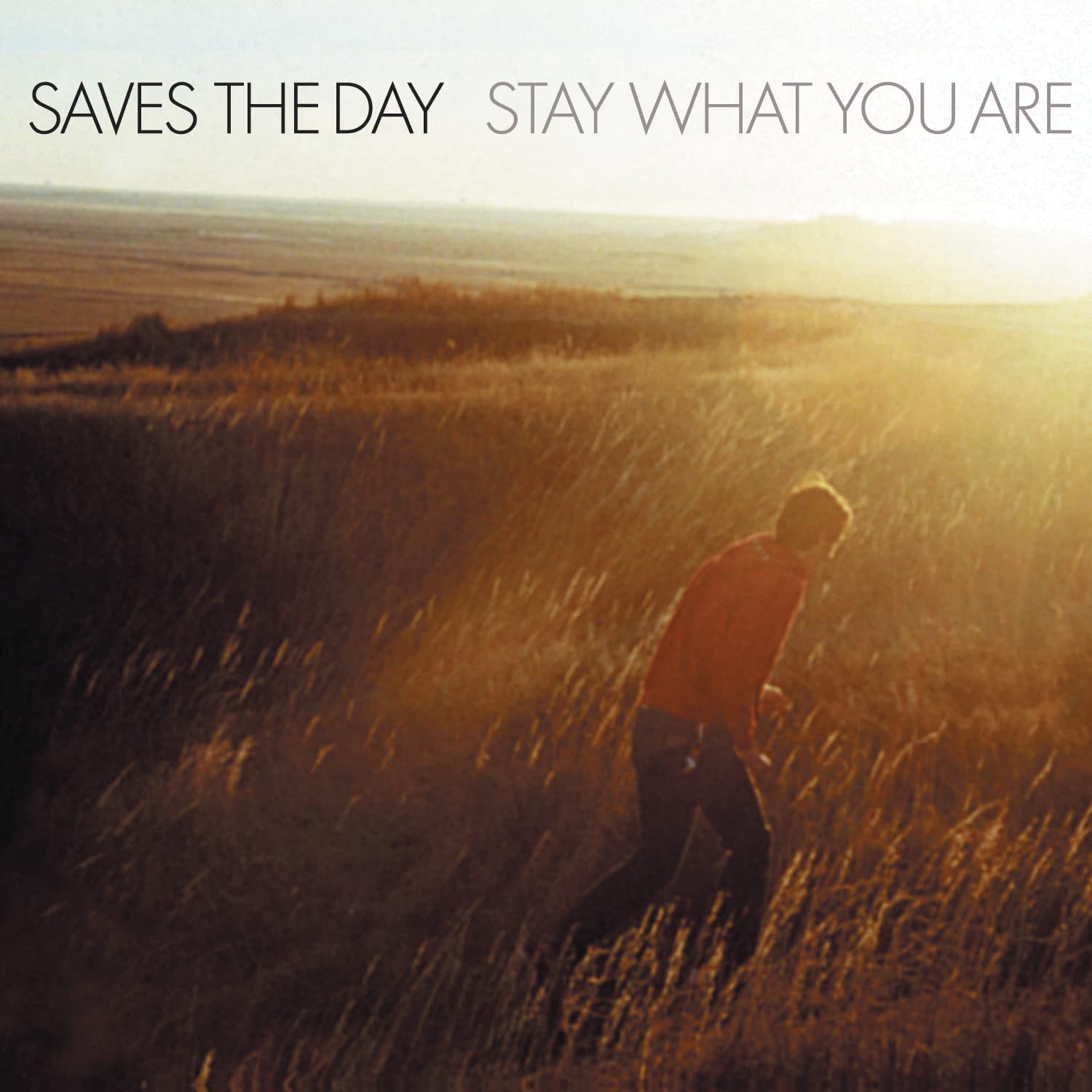 Saves The Day - Stay What You Are (Brown Double 10" Vinyl) [Limited Edition] (New Vinyl)