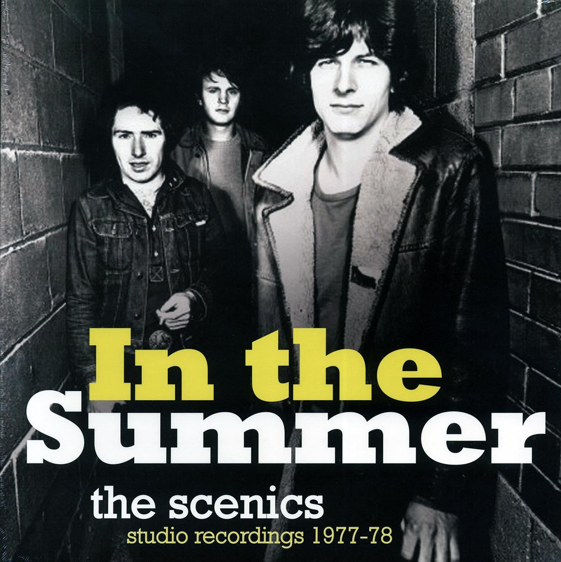 Scenics-in-the-summer-new-vinyl