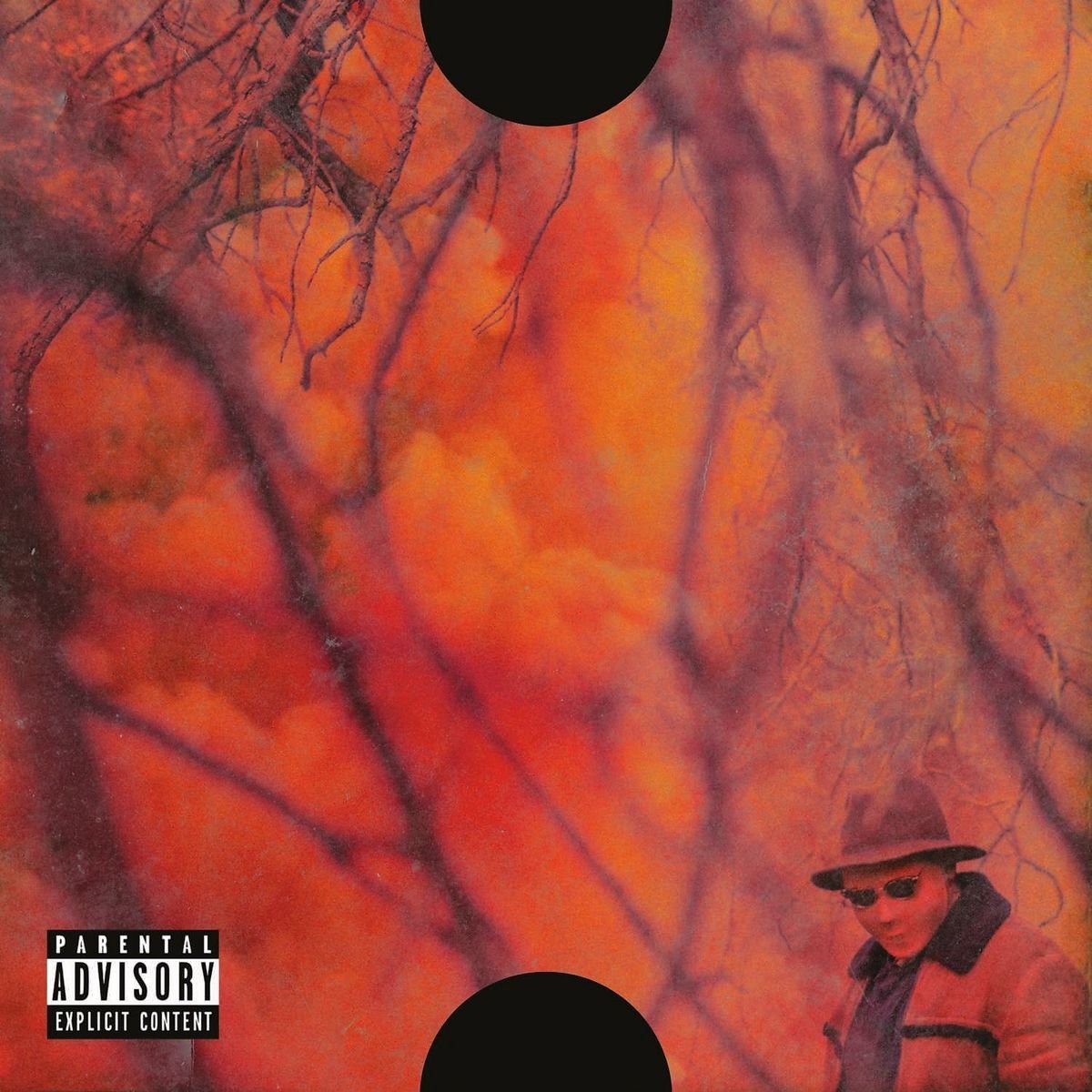 Schoolboy-q-blank-face-lp-new-cd