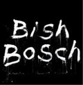 Scott-walker-bish-bosch-new-vinyl