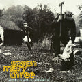 Seven-mary-three-american-standard-grey-vinyl